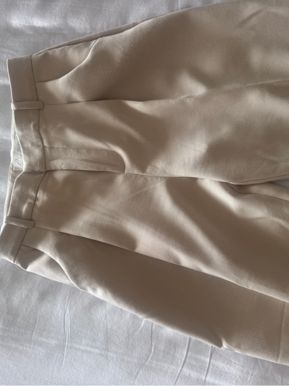 Zara Tailored Wide-Leg Trousers in Light Beige